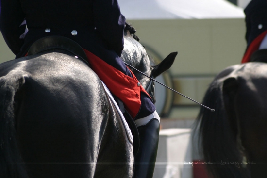 Equine Blog | Foto: Romina Ronzon Equine Blog | Foto: Romina Ronzon