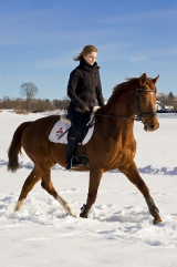 Sonne und Schnee