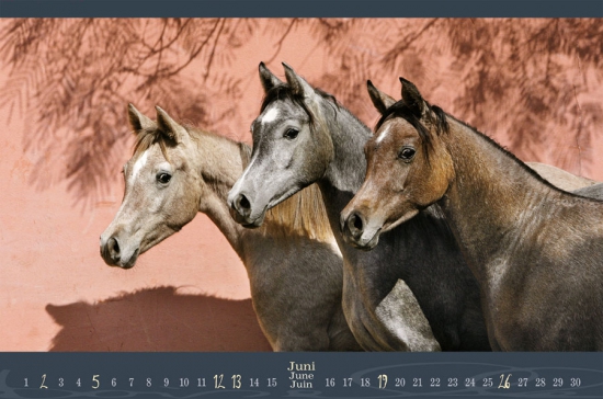 Edition Boiselle 2012 - Die weite Welt der Pferde