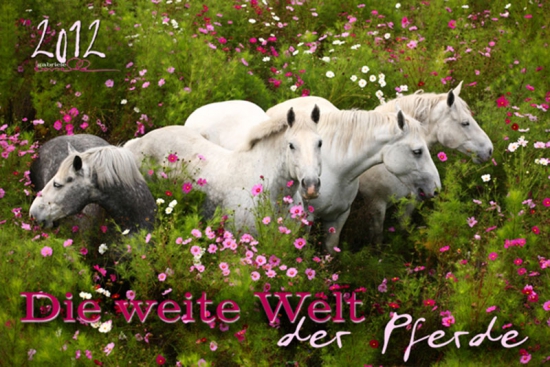 Edition Boiselle 2012  - Die weite Welt der Pferde