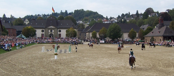  - hengstparade_dillenburg_wiki_thomasdamm-nggid0232-ngg0dyn-580x600x100-00f0w010c010r110f110r010t010