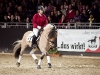 Fjordpferd auf der Equitana | Foto: Romina Ronzon